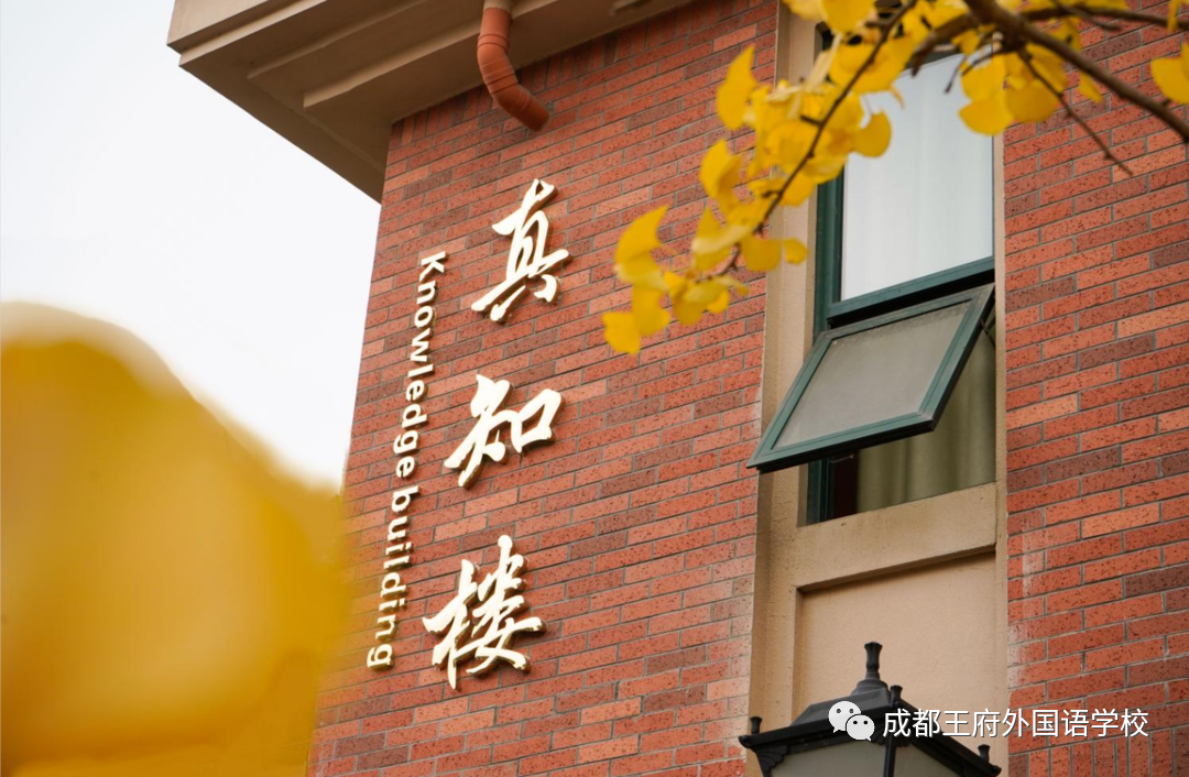 遇见银杏，是成都王府初冬的一缕柔情