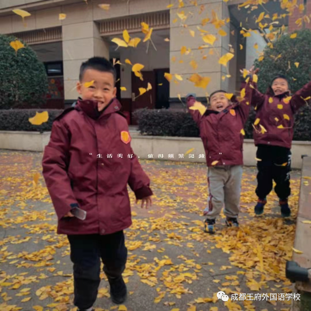 遇见银杏，是成都王府初冬的一缕柔情