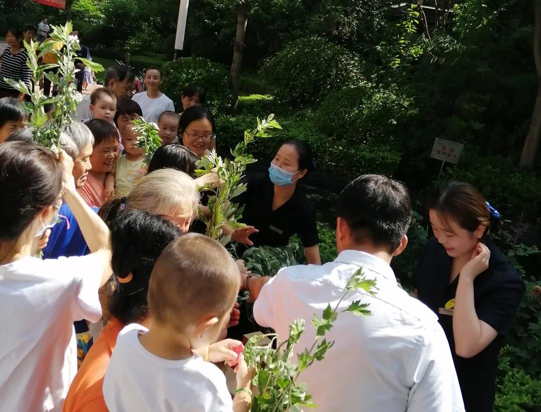 【社区活动】 粽享端午 与“艾”同在 欢乐共“香”