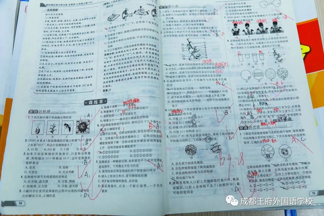 落实“双减”工作，推动“教育质效双增” ——成都王府开展教师作业批改展评活动