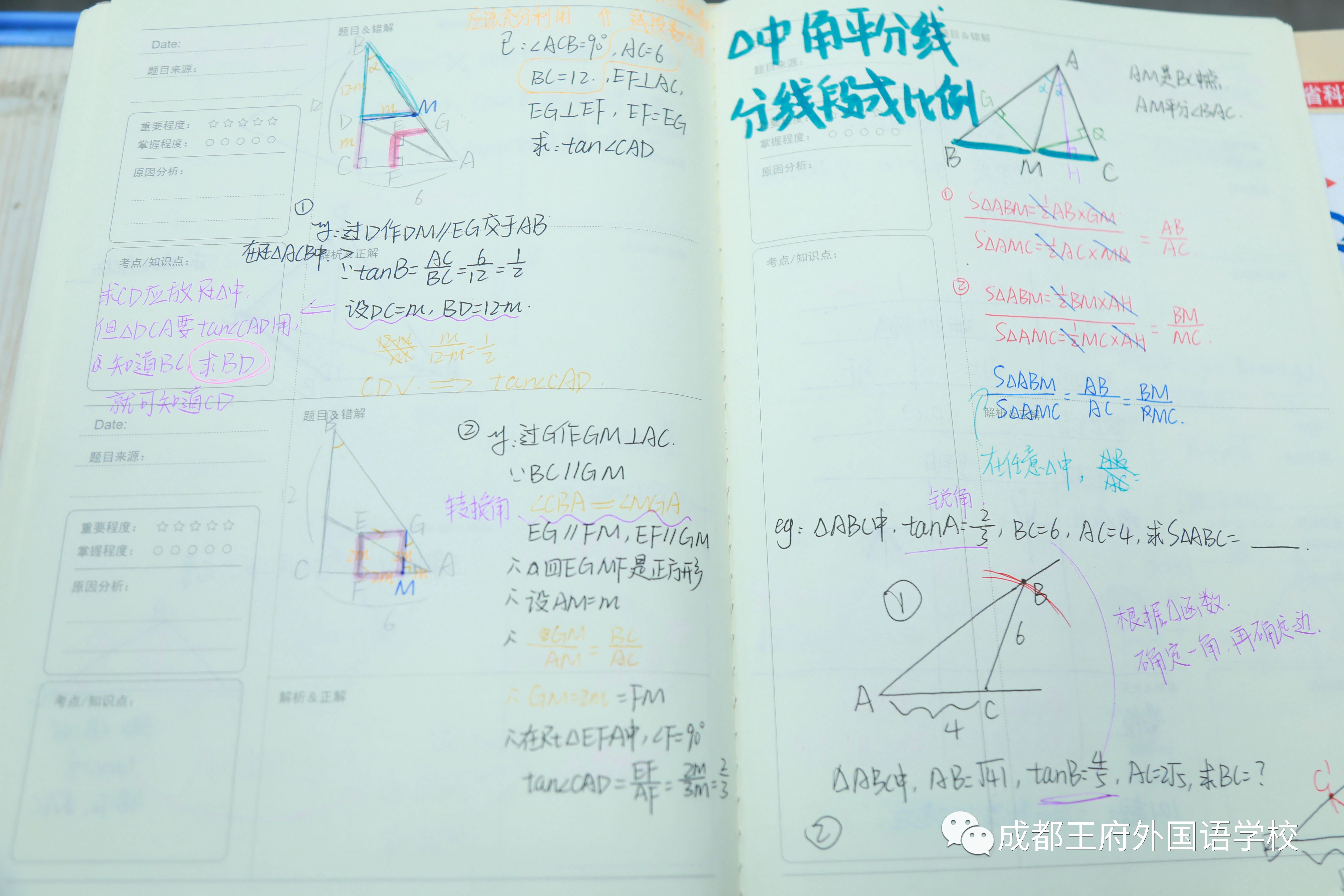 落实“双减”工作，推动“教育质效双增” ——成都王府开展教师作业批改展评活动