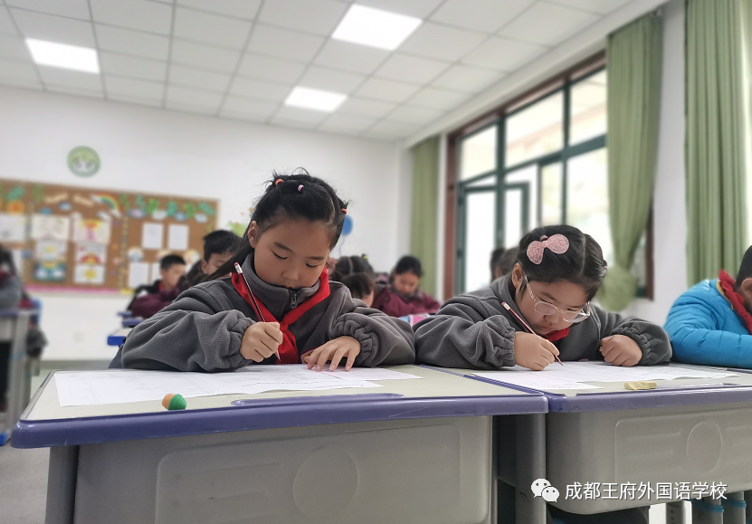 喜讯 | 成都王府外国语学校获2020-2021赛季SPBCN优秀组织学校荣誉称号