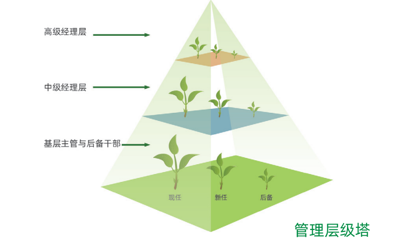 关键人才加速培养