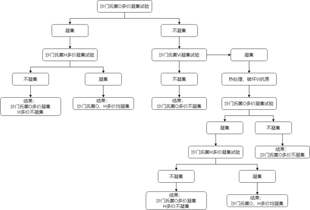 沙門氏菌檢驗(yàn)流程詳解（完結(jié)篇）