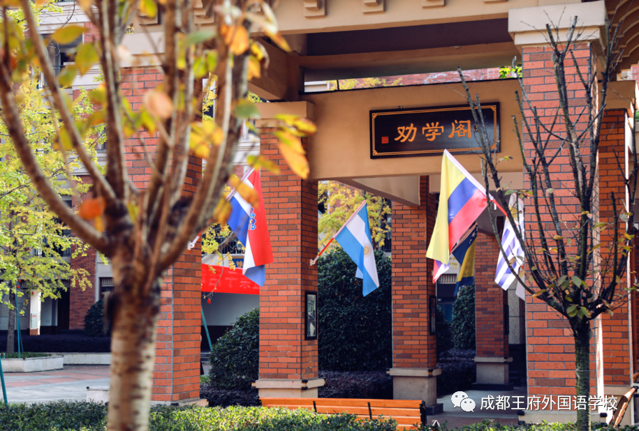 感恩同行,风雨兼程 | 请您查收成都王府12月校长来信 感恩同行,风雨兼程 | 请您查收成都王府12月校长来信