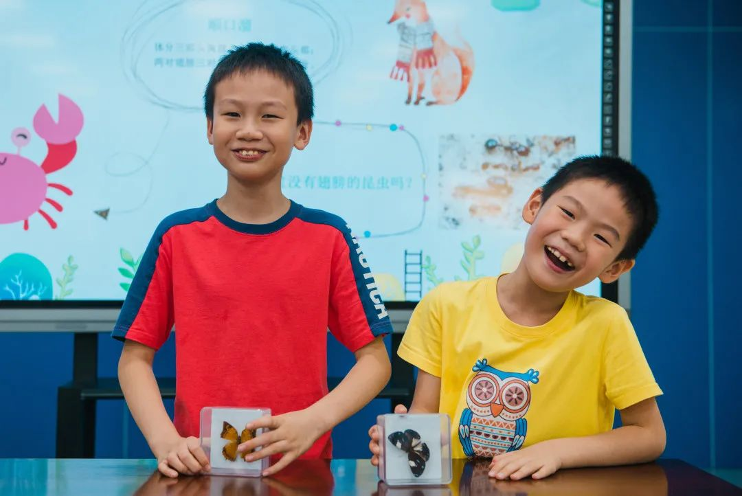 探索小昆虫的大世界——中检集团福建公司举办“昆虫小博士”儿童研学活动 探索小昆虫的大世界——中检集团福建公司举办“昆虫小博士”儿童研学活动