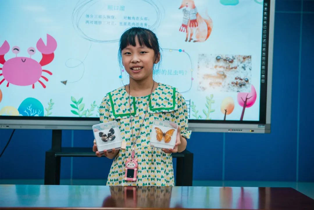 探索小昆虫的大世界——中检集团福建公司举办“昆虫小博士”儿童研学活动 探索小昆虫的大世界——中检集团福建公司举办“昆虫小博士”儿童研学活动