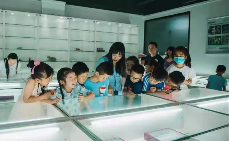 探索小昆虫的大世界——中检集团福建公司举办“昆虫小博士”儿童研学活动 探索小昆虫的大世界——中检集团福建公司举办“昆虫小博士”儿童研学活动