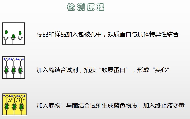 食品過敏原的那些事兒 食品過敏原的那些事兒