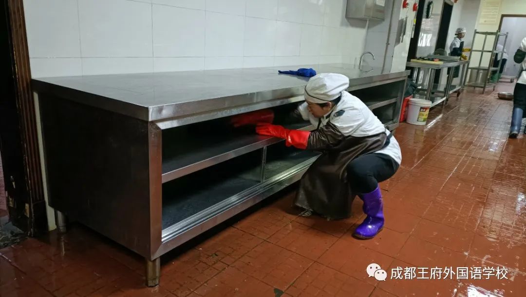 春季开学，王府吹响了集结号！