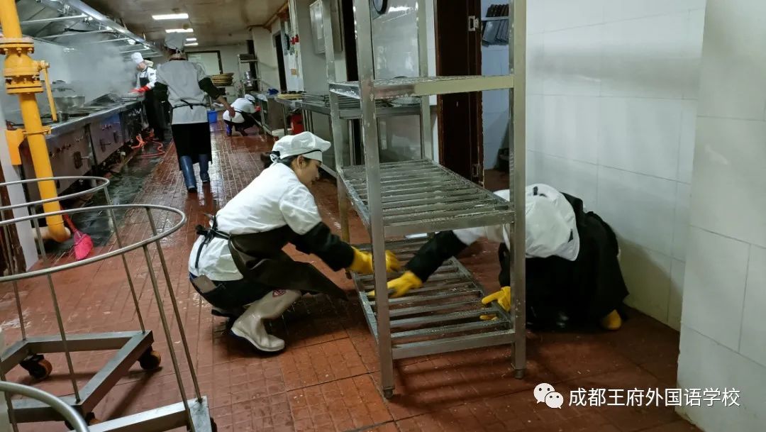 春季开学，王府吹响了集结号！