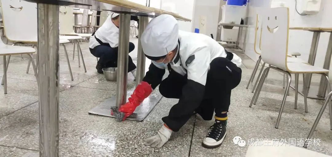 春季开学，王府吹响了集结号！