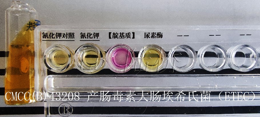 GB4789.6-2016 致瀉大腸埃希氏菌檢驗(yàn)及注意事項(xiàng) GB4789.6-2016 致瀉大腸埃希氏菌檢驗(yàn)及注意事項(xiàng)