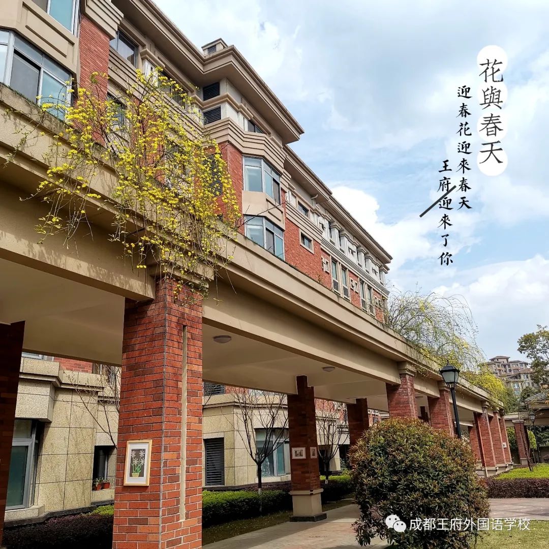 春风花草香，喜迎燕归来 | 亲爱的家长，请您查收2月校长来信