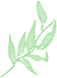 周末托管，让热爱持续绽放一一成都王府托管班开课了！