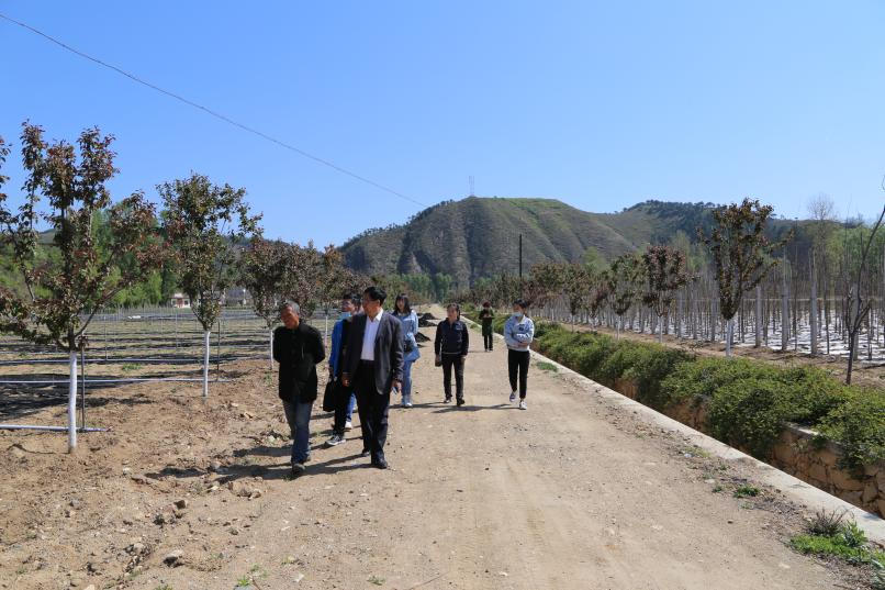 商洛担保：鼓足干劲   再掀“春风”新热潮