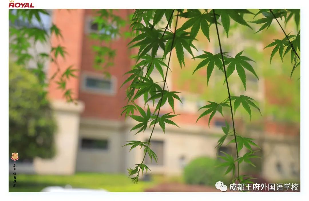 满园春色关不住