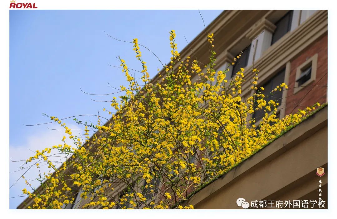满园春色关不住