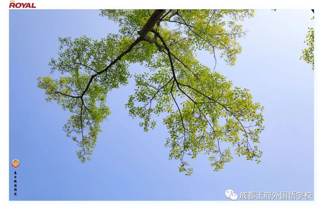 满园春色关不住