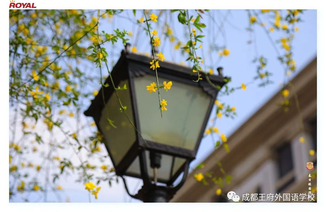 满园春色关不住