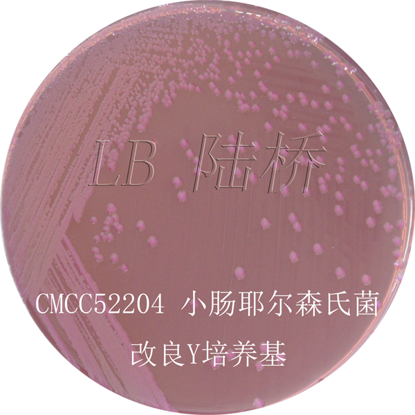 改良Y培養基-小腸結腸炎耶爾森氏菌