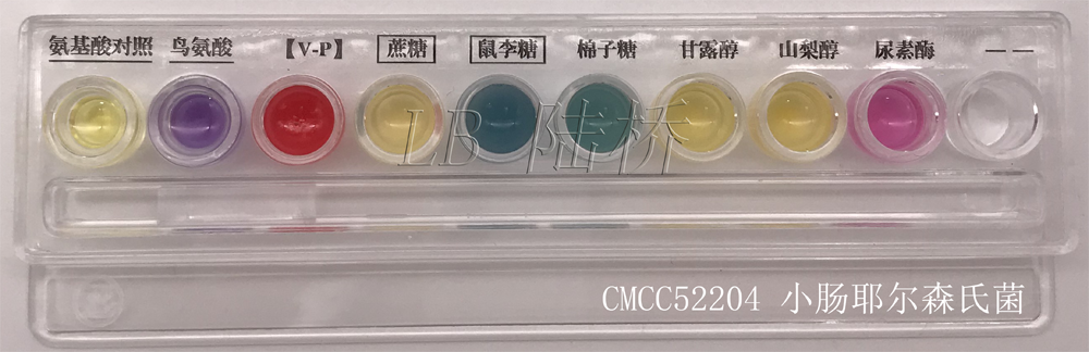 小腸結腸炎耶爾森氏菌干制生化鑒定試劑盒-小腸結腸炎耶爾森氏菌