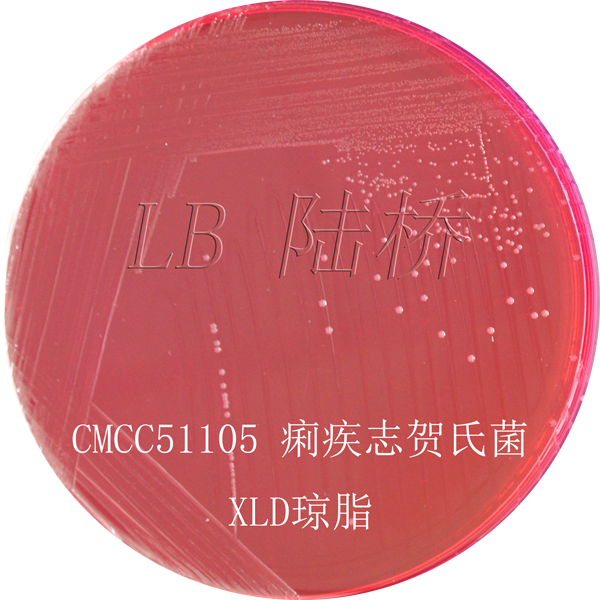 木糖賴(lài)氨酸脫氧膽鹽瓊脂（XLD）-痢疾志賀氏菌