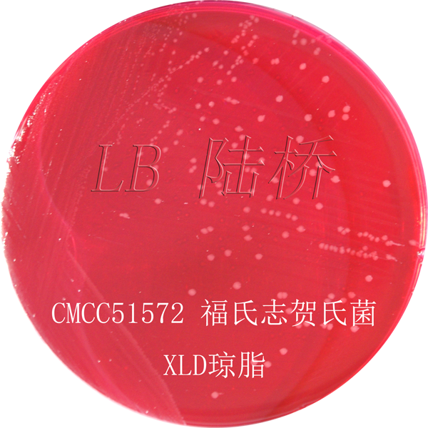 木糖賴氨酸脫氧膽鹽瓊脂（XLD）-福氏志賀氏菌