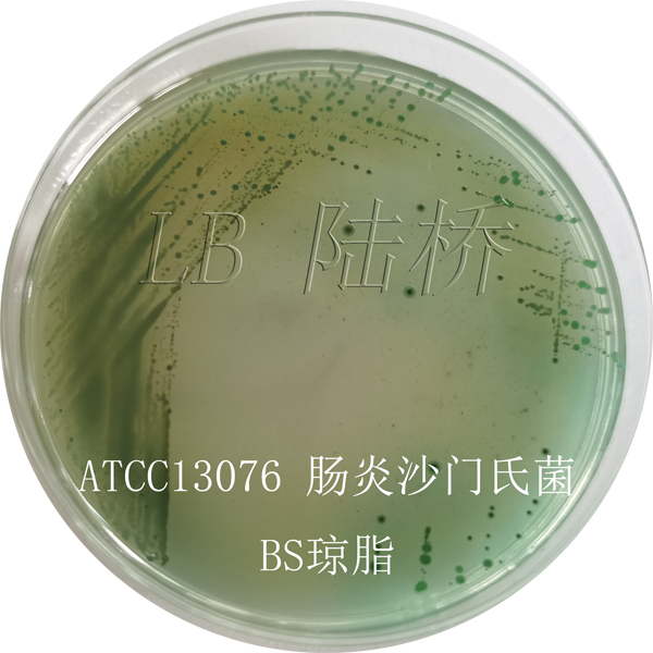 亞硫酸鉍瓊脂（BS）-腸炎沙門(mén)氏菌