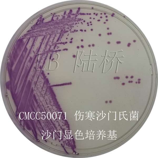 沙門(mén)氏菌顯色培養基-傷寒沙門(mén)氏菌
