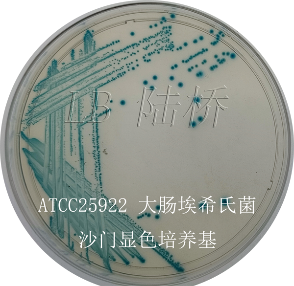 沙門氏菌顯色培養(yǎng)基-大腸埃希氏菌
