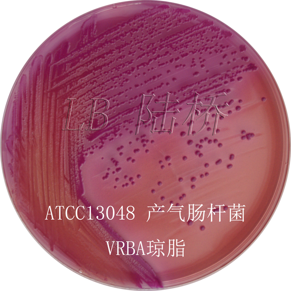 結晶紫中性紅膽鹽瓊脂（VRBA）-產(chǎn)氣腸桿菌