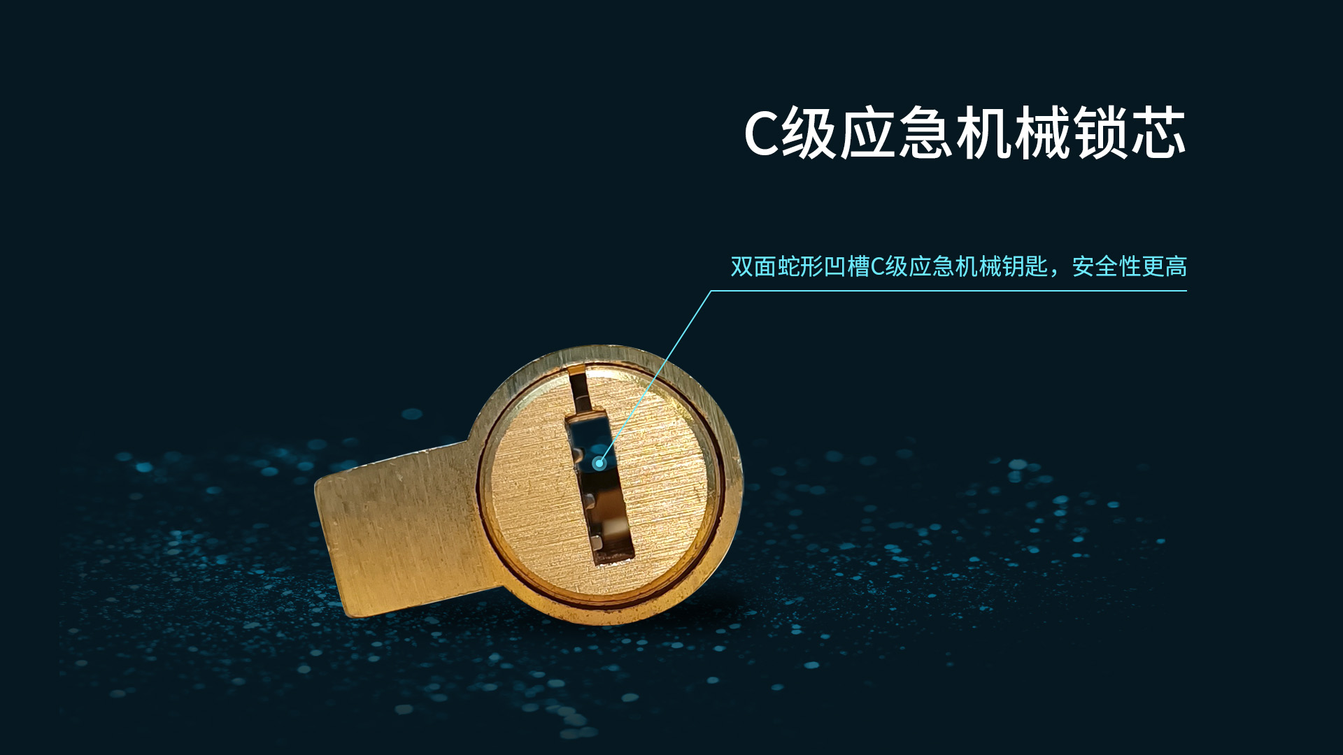 P302智能门锁
