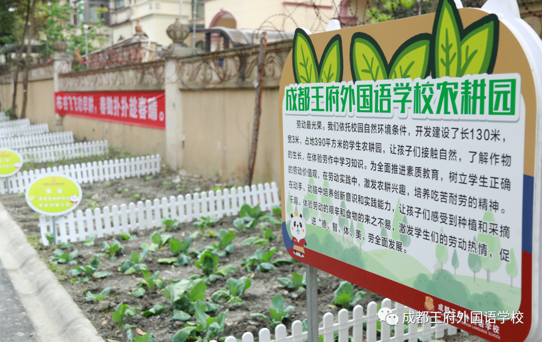一年之计在于春，王府农耕正当时