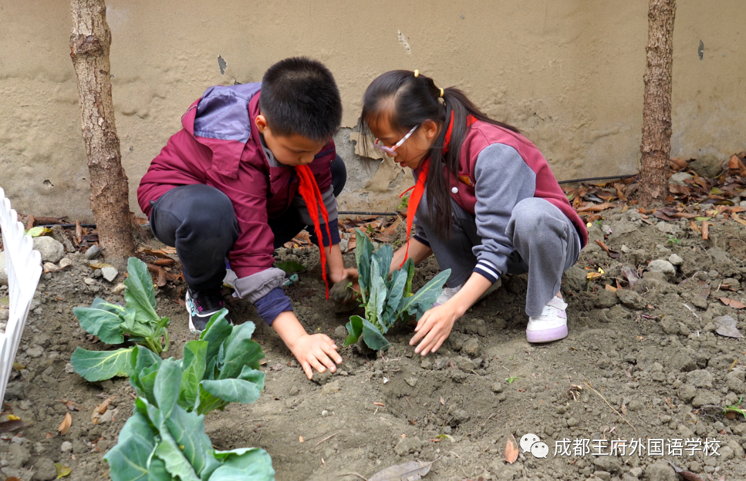 一年之计在于春，王府农耕正当时