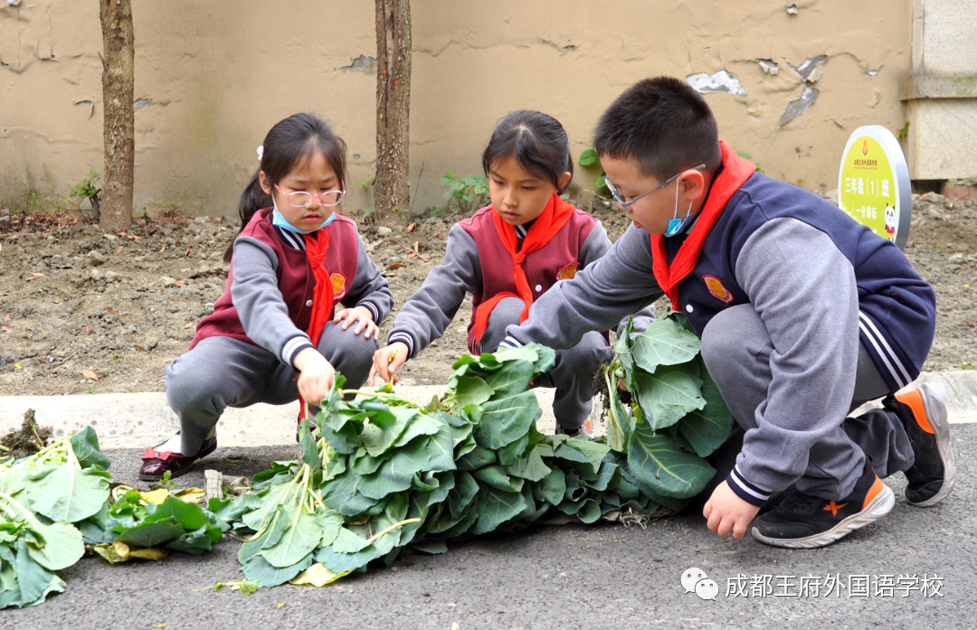 一年之计在于春，王府农耕正当时