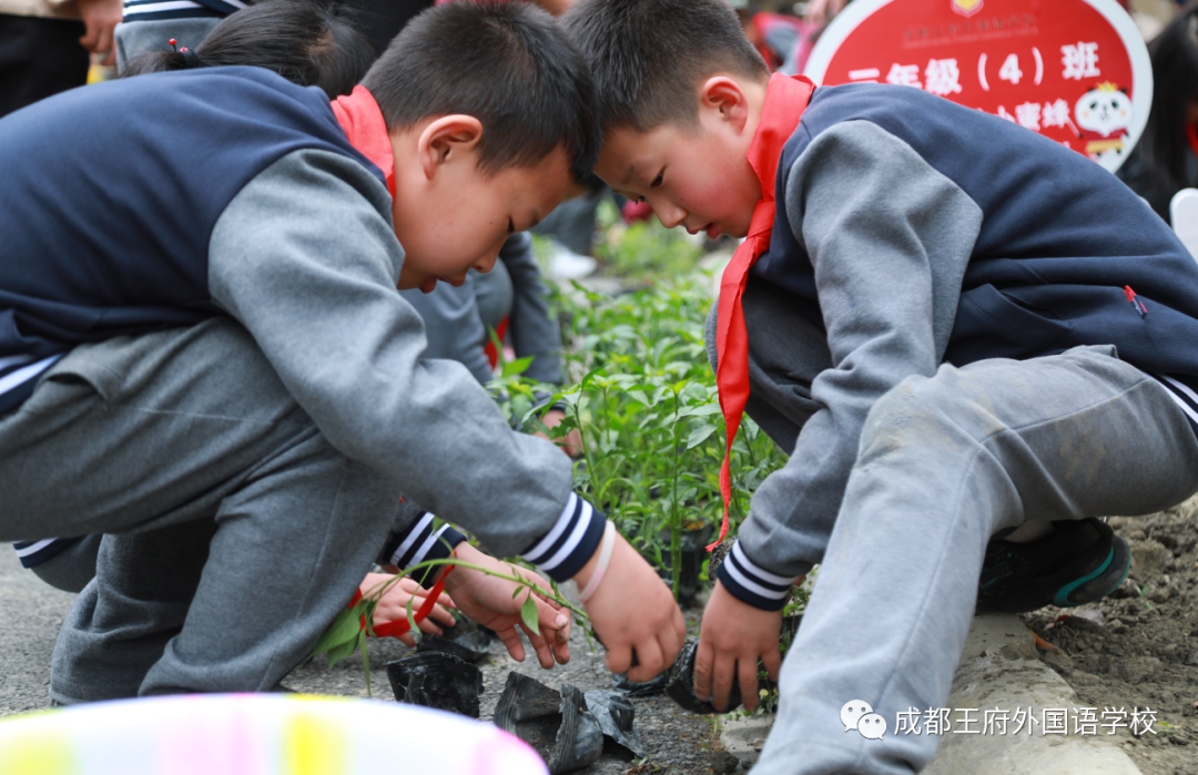 一年之计在于春，王府农耕正当时