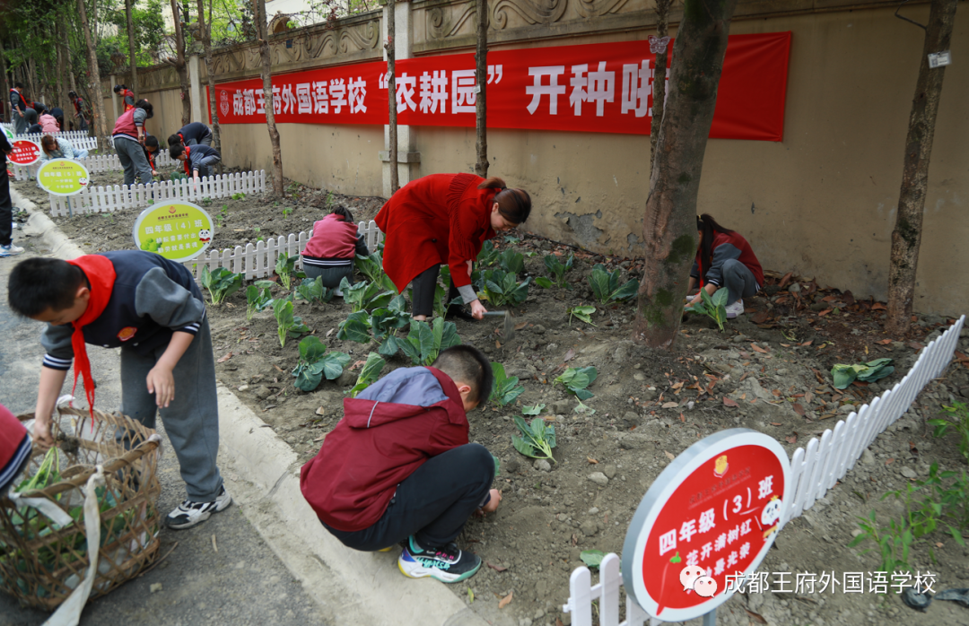 一年之计在于春，王府农耕正当时