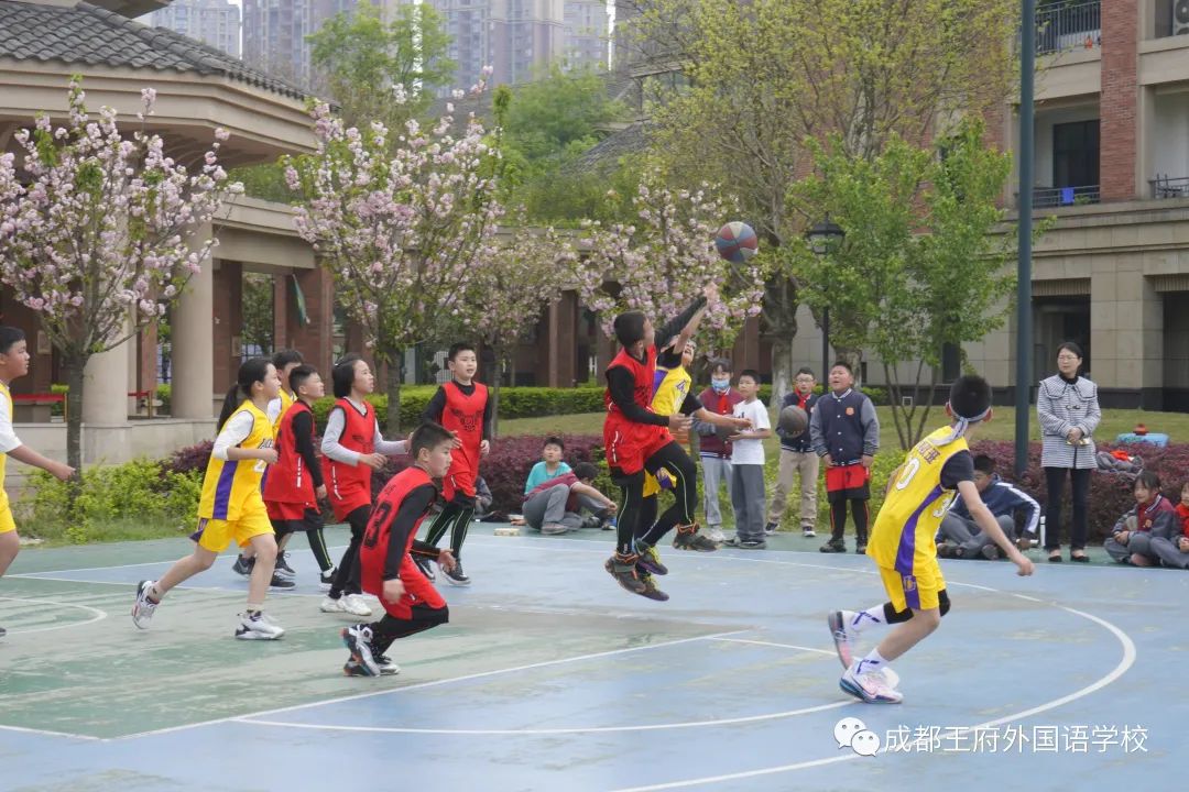 来了！成都王府云上周刊