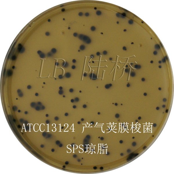 亞硫酸鹽-多粘菌素-磺胺嘧啶瓊脂（SPS）-產氣莢膜梭菌