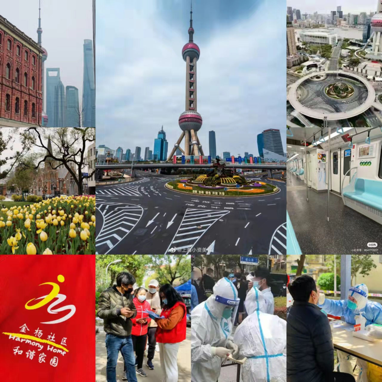 樱得飞与您一起守护健康！ 一起等待春天！