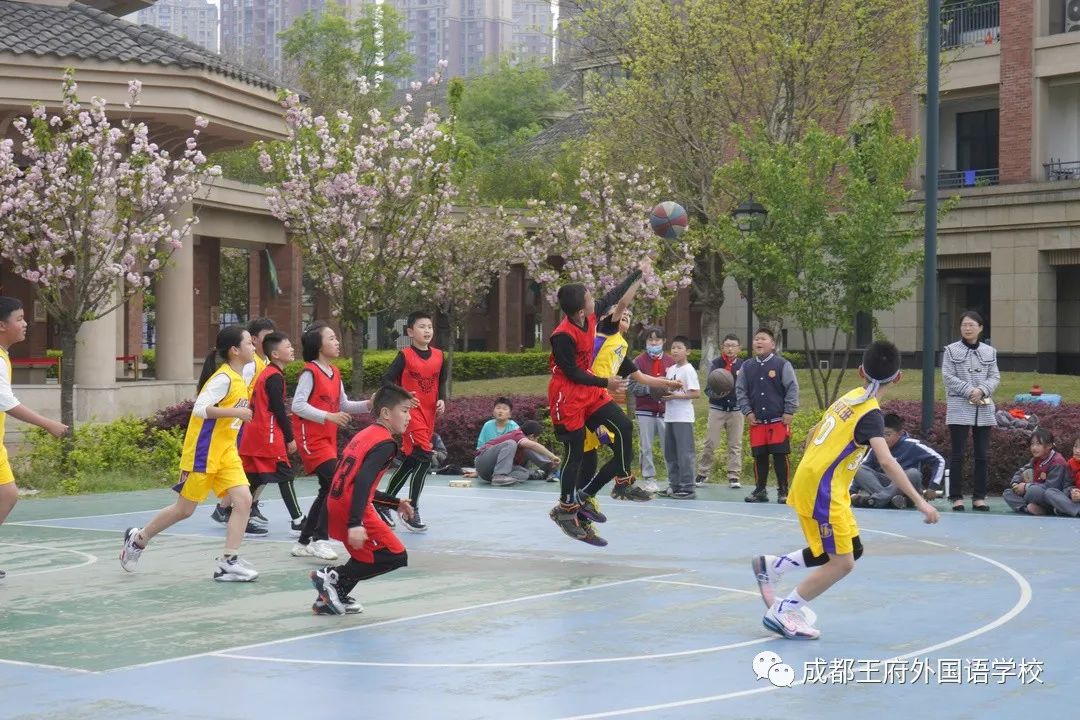春催千树发，奋进正当时 | 亲爱的家长，请您查收3月校长来信