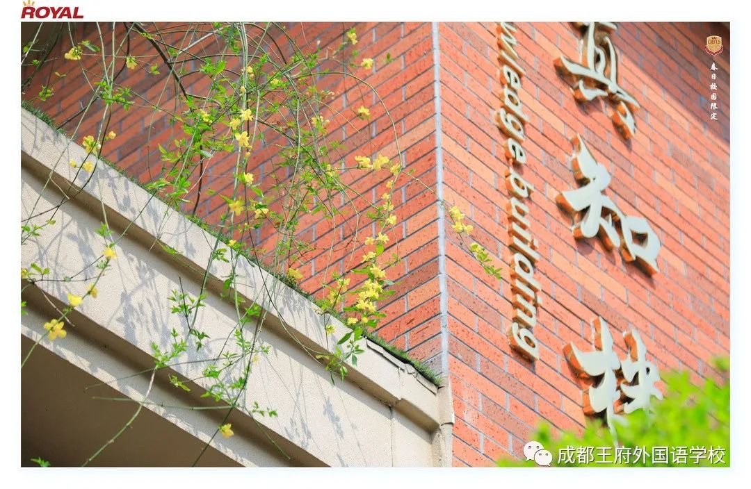 春催千树发，奋进正当时 | 亲爱的家长，请您查收3月校长来信
