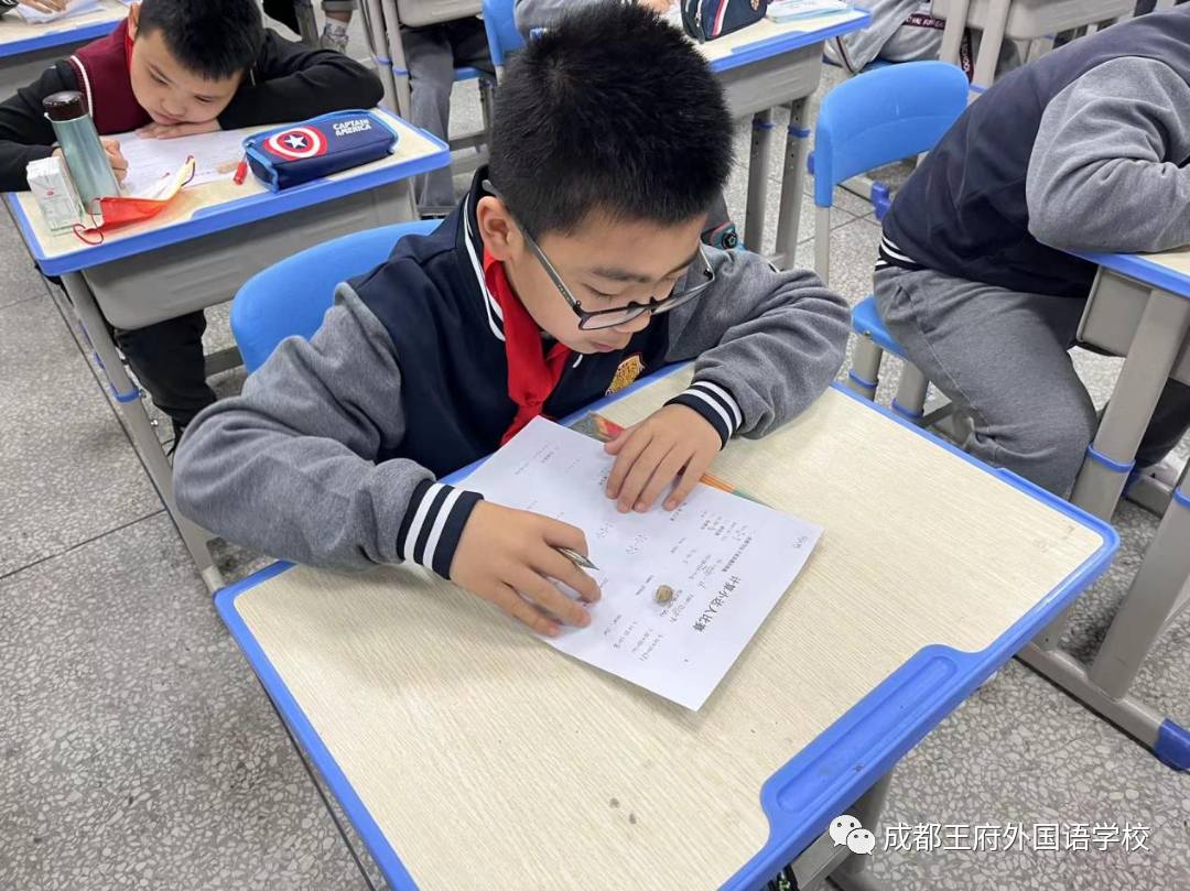 脑洞大开，“数”你最棒——成都王府小学部数学月活动圆满结束