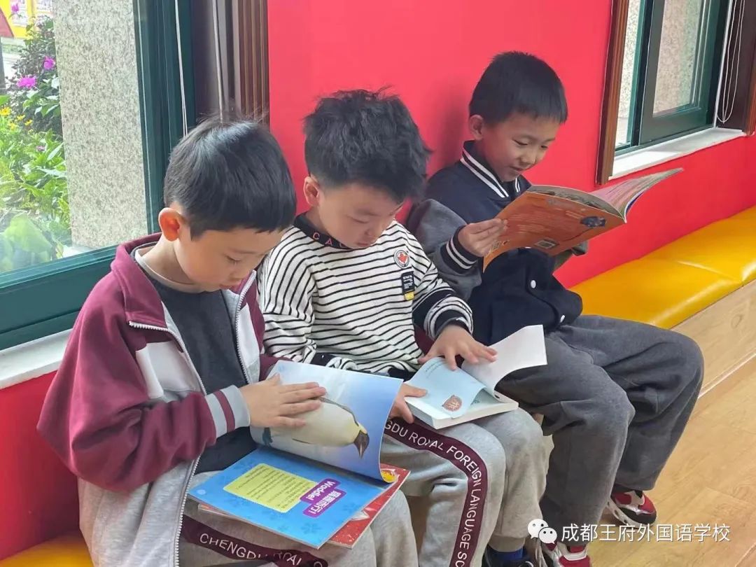 四月芳菲，书香致远——成都王府学生读书感悟暨图书捐赠倡议