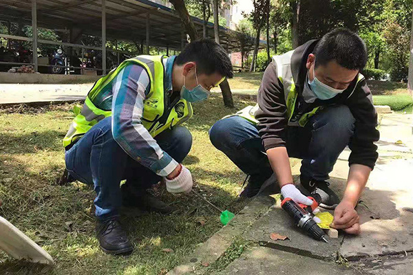 有害生物防制之蚊虫综合防治策略 有害生物防制之蚊虫综合防治策略