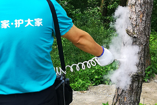有害生物防制之蚊虫综合防治策略 有害生物防制之蚊虫综合防治策略