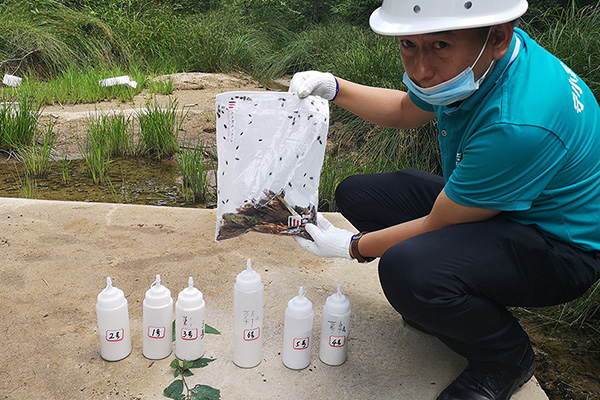 有害生物防制之蚊虫综合防治策略 有害生物防制之蚊虫综合防治策略