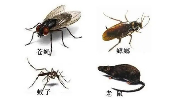 全国卫生产业企业管理协会有害生物防制分会:什么是除四害? 全国卫生产业企业管理协会有害生物防制分会:什么是除四害?