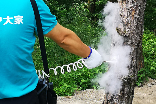有害生物防制之白蚁要怎样才能消灭 有害生物防制之白蚁要怎样才能消灭